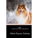 Buff: A Collie, and Other Dog-Stories