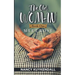 The Old Woman: Meet Rose - Book one