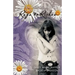 Overcoming Abuse God's Way: Rags to Riches