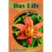 Day Lily: Plant overview and guide