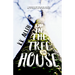 Up in the Treehouse