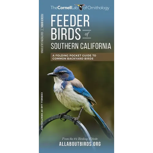 Feeder Birds of Southern California: A Folding Pocket Guide to Common Backyard Birds