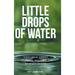 Little Drops of Water: Foundations of Personal Financial Management for Wealth Creation