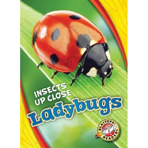 Ladybugs