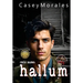 Hallum: A romantic mm historical spy thriller