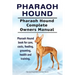 Pharaoh Hound. Pharaoh Hound Complete Owners Manual. Pharaoh Hound book for care, costs, feeding, grooming, health and training.