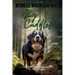 Bernese Mountain Dogs Big Cuddles: A Picturebook for Young Readers