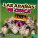 Las Arañas de Cerca (Spiders Up Close)