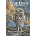 Our Owls: Burrowing Owls in Cesar Chavez Park, Berkeley