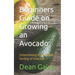 Beginners Guide on Growing an Avocado: Determining the Suitable Variety of Avocado