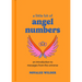 A Little Bit of Angel Numbers: An Introduction to Messages from the Universe