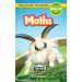 Moths: Backyard Bugs and Creepy-Crawlies (Engaging Readers, Level Pre-1)