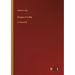 Essays in Little: in large print