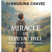 Miracle in Tepeyac Hill