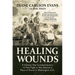 Healing Wounds: A Vietnam War Combat Nurse's 10-Year Fight to Win Women a Place of Honor in Washington, D.C.