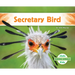 Secretary Bird