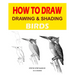 Drawing and shading Birds: How to draw