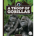 A Troop of Gorillas