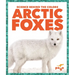 Arctic Foxes