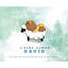 A Baby Named David