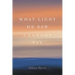 What Light He Saw I Cannot Say: Poems