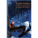 Gone Astray