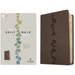 The Daily Walk Bible Nlt, Filament Enabled (Leatherlike, Stepping Stones Dark Taupe)