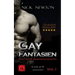 Gay Fantasien Erotische Kurzgeschichten - Erotik ab 18 unzensiert: Taschenbuch Edition 2019
