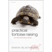 Practical Tortoise Raising: And Other Philosophical Essays