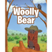 Woolly Bear