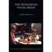 The Developing Visual Brain