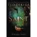 Saint: A Paradise Novel