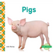 Pigs