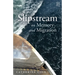 Slipstream: On Memory and Migration