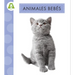Animales Bebés