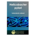 Helicobacter Pylori: Tratamiento Natural