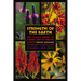 Strength of the Earth: The Classic Guide to Ojibwe Uses of Native Plants