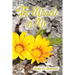 The Miracle in Me