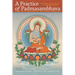 A Practice of Padmasambhava: Essential Instructions on the Path to Awakening