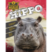 Hippo