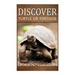 Turtle Or Tortoise - Discover: Early reader's wildlife photography book