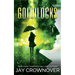 Goldilocks: A Standalone New Adult Romance
