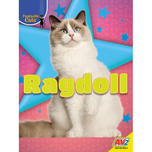 Ragdoll