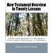 New Testament Overview In Twenty Lessons: A Bible Study Workbook For New-Member Classes, Bible Study Groups, Or Individuals