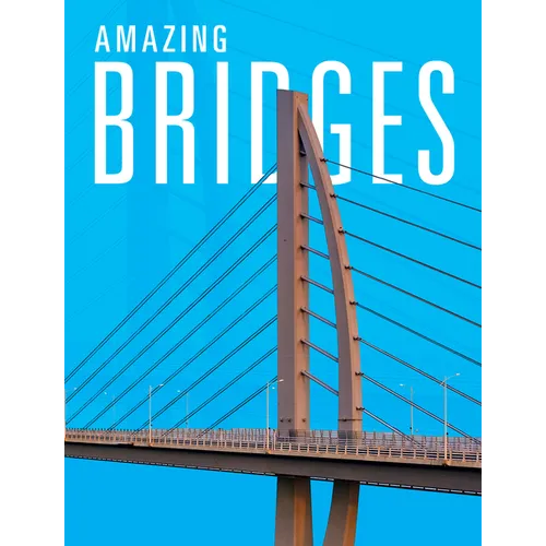 Amazing Bridges