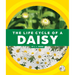 The Life Cycle of a Daisy