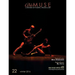 Able Muse, Winter 2016 (No. 22 - print edition): a review of poetry, prose & art