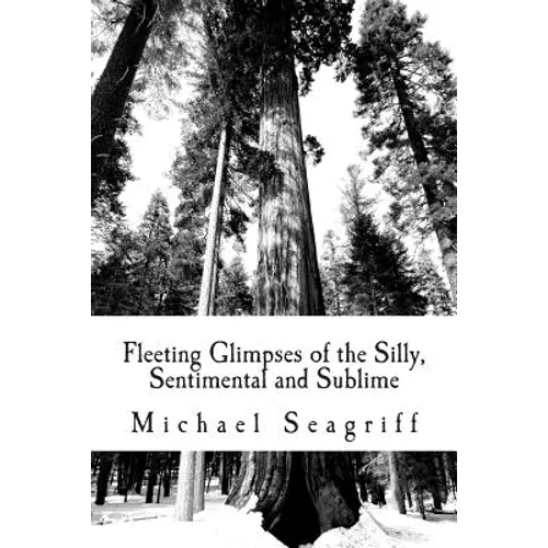 Fleeting Glimpses of the Silly, Sentimental and Sublime