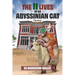 The 11 Lives of an Abyssinian Cat: Flummox