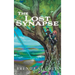 The Lost Synapse